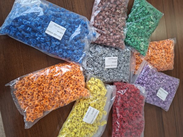 Rozmiarówka na wieszaki 500 sztuk